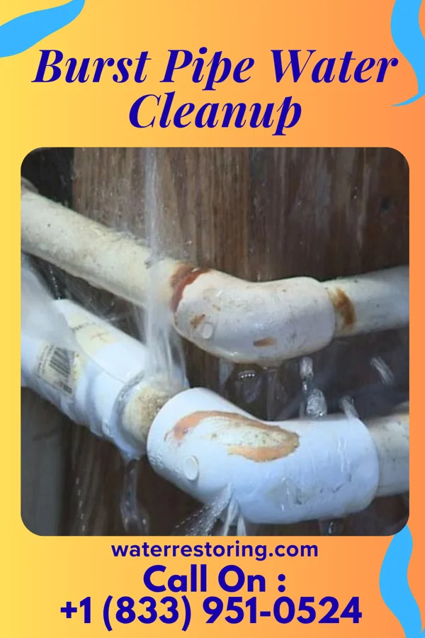 Burst Pipe Water Cleanup in Brentwood, PA