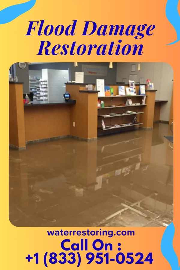 Flood Damage Restoration in Brentwood, PA