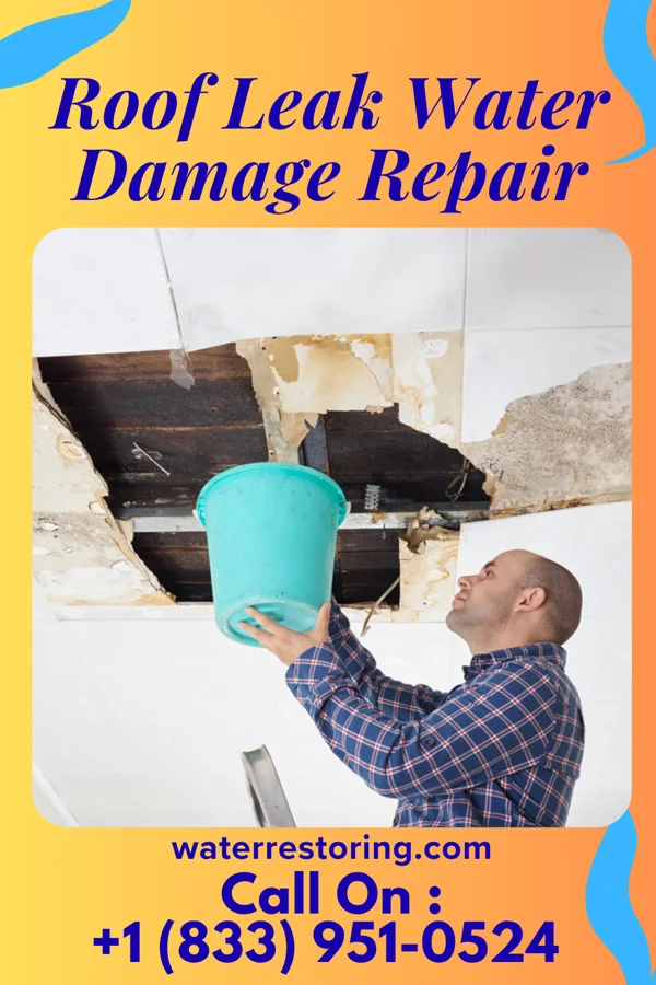 Roof Leak Water Damage Repair in Brentwood, PA