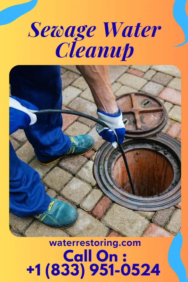 Sewage Water Cleanup in Brentwood, PA