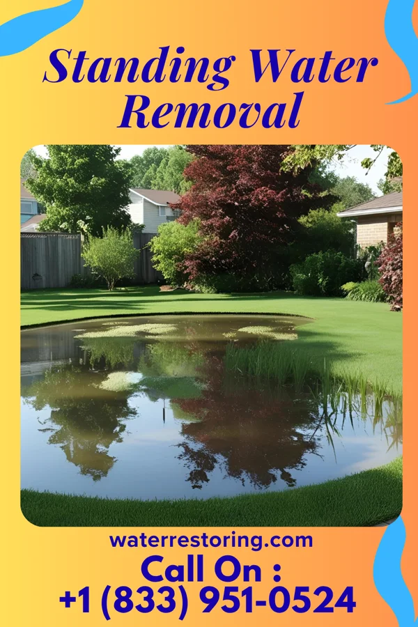 Standing Water Removal in Brentwood, PA